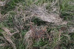 4528IMG_8843.JPG