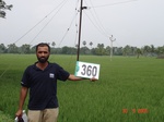 132870360b-irrigated-canal-rice-doublecrop-tripplecrop-greengram-blackgram.gif