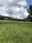 2018-09-03_12-59-55_CBDAEB02-180F-4CAB-ACD4-21E63C9B0FA6.jpg