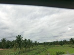 55804CIMG6425.JPG