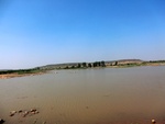 41241CIMG8078.JPG