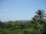 15839IMG_4379.JPG