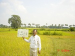 6713gt154-cropland-1.jpg