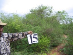823015-shrubland-densest-iucna.jpg