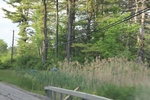 2022-06-11_16-04-22_CA23DD02-E9B4-453E-B534-087EF5540742.jpeg