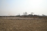 4471IMG_7233.jpg