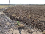 39196FAIR20110721E.JPG
