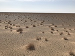2021-03-20_22-07-58_78144D0C-0D7A-48AD-8D8D-990F76CE9528.jpg