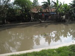 15653IMG_4725.JPG