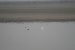 4138IMG_8775.JPG