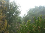 2012-09-23_20-51-33_CA-SM-14-South-1.JPG