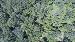 2017-06-12_13-57-39_DJI_0066.jpg