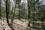 320IMG_3429.JPG