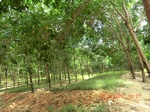 2012-09-26_20-48-24_CIMG0959.JPG