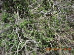 2012-09-27_14-25-45_260.JPG