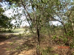 2012-10-02_20-53-36_CIMG0115.JPG