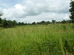 20803P1020662.JPG