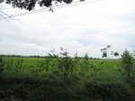 14477IMG_4835.JPG