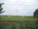 14476IMG_4834.JPG