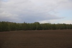 2017-05-12_17-56-35_2017-05-06 01.45.10.jpg
