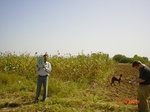 6457gt008-cropland-1.jpg