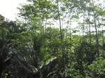 16320IMG_5096.JPG