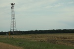 2022-06-11_17-48-42_389C2753-4C81-4CAA-9C45-0A83AB797CC4.jpeg