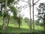 16457IMG_5242.JPG