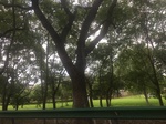 2017-09-12_12-58-42_71F78D80-639E-4CFC-BA71-9FBA6C73F89A.jpg