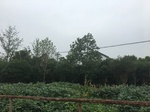 2017-09-11_22-22-29_325326A8-2362-41E6-8583-7843D4869E98.jpg