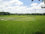 21348DSC00619.JPG