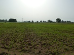 18900P1000742.JPG
