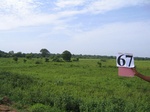 1055767-cropland-rice-faalllow-b.gif
