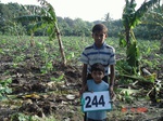 72010244a-irrigated-supplemental-groundwater-banana.jpg