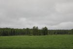 2018-04-14_14-18-50_2017-06-12 06.44.20.jpg