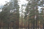 2018-04-14_14-09-34_2017-06-11 07.16.51.jpg