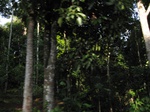 16230IMG_5000.JPG