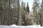 2018-05-31_18-05-24_2018-03-25 13.36.03.jpg
