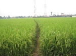 14438IMG_4790.JPG