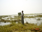 11288gt097-wetlands-1.jpg