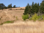2020-05-28_13-27-04_2012-09-01_Erratic_RockW.JPG