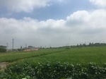 2017-09-12_12-59-36_BFBEC158-90D6-499E-89CE-DA81F5EF4430.jpg