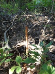 2012-09-24_10-40-22_DSC03094.JPG