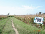 70680198d-irrigated-supplemental-major-groundwater-mixed-crop-maize-largearea-turmeric-doublecrop.jpg