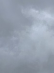 2020-10-26_22-02-57_17AE5107-FB3B-44AF-9902-107ED7ADE5AD.jpeg