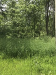 2017-05-29_15-00-41_EC1DC56C-710B-4ED9-96D4-1EE563BB3039.jpg