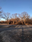 2020-12-10_07-55-25_2020-12-10-7-54-43.jpg