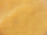 2012-09-21_14-26-52_CIMG3141.JPG
