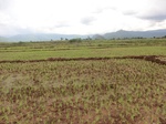 2012-09-07_10-02-12_CIMG6621.JPG