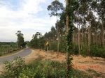 2012-09-26_20-49-53_CIMG1085.JPG